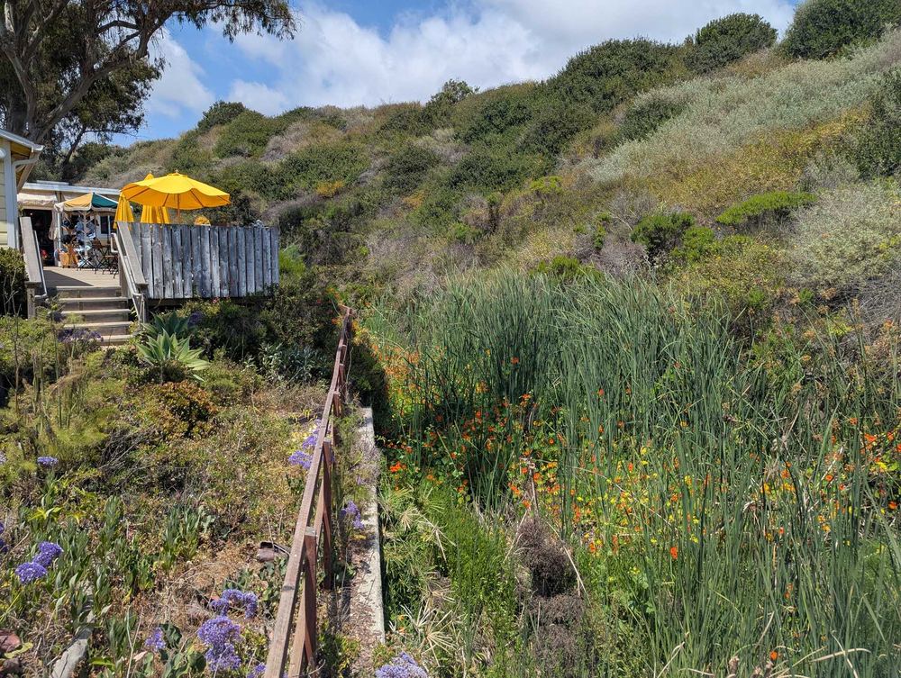 Historic cottages on the hillside at Crystal Cove