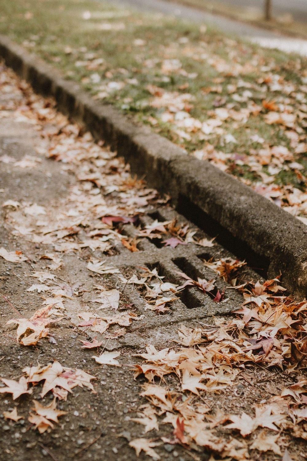 Storm drain at a curb blocked by fallen leaves